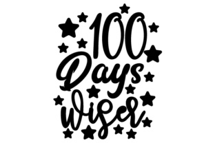 100 Days Wiser: A Crafty School Amp Asset Review
