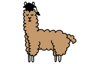 Graduation Llama: A Designer's Review for Real Projects
